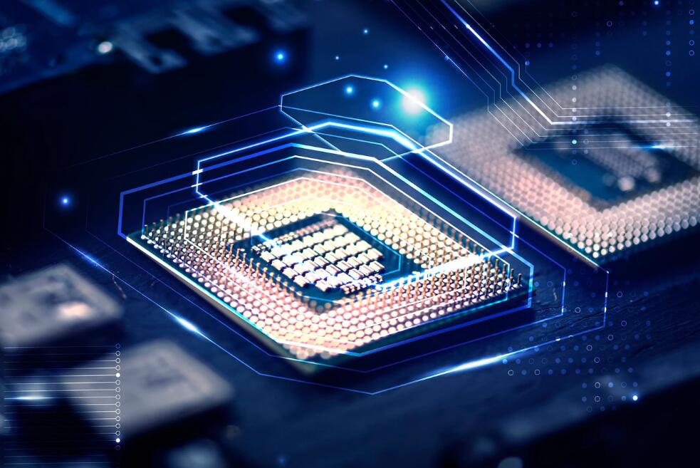 2014年奥运会女排冠军是谁 2012年伦敦奥运会女排冠军